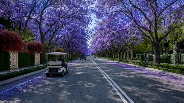 Golf Cart Shuttle - Western Aravalli Farms